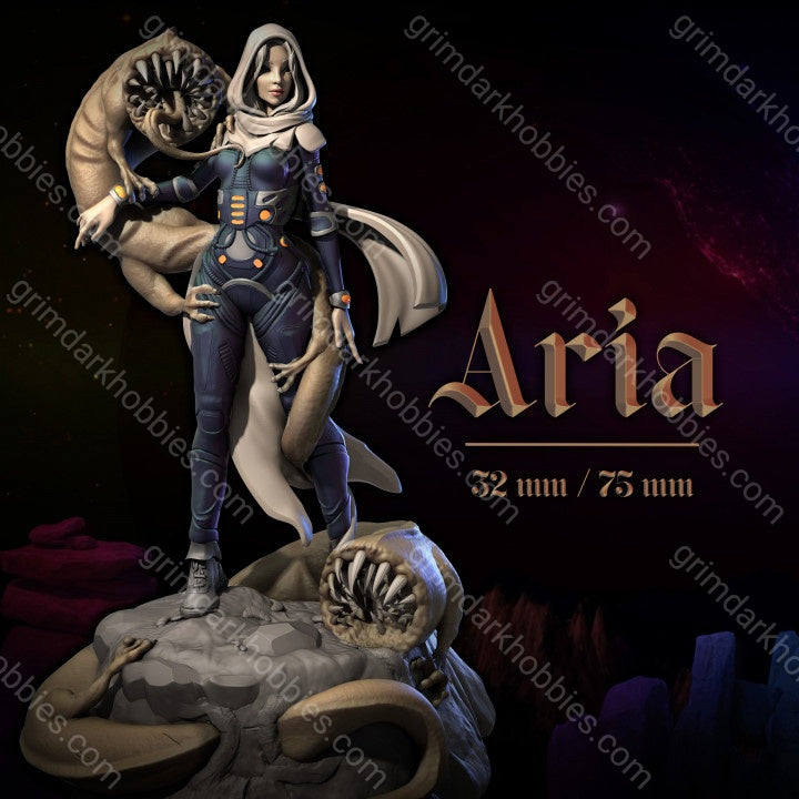 Dungeons & Maidens Aria 32/75mm 3D Resin Miniature