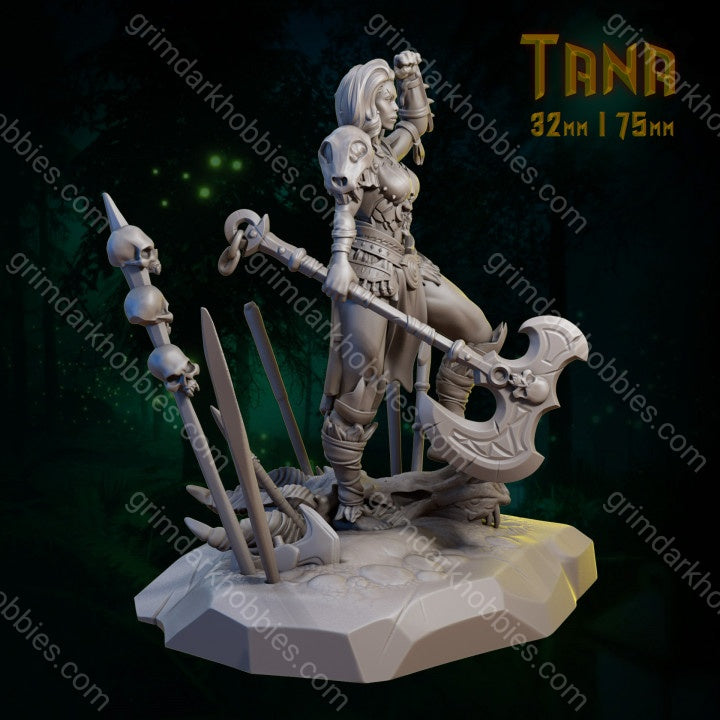 Dungeons & Maidens Tana 32/75mm 3D Resin Miniature