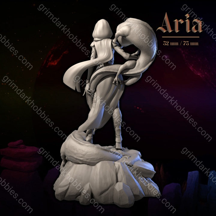 Dungeons & Maidens Aria 32/75mm 3D Resin Miniature