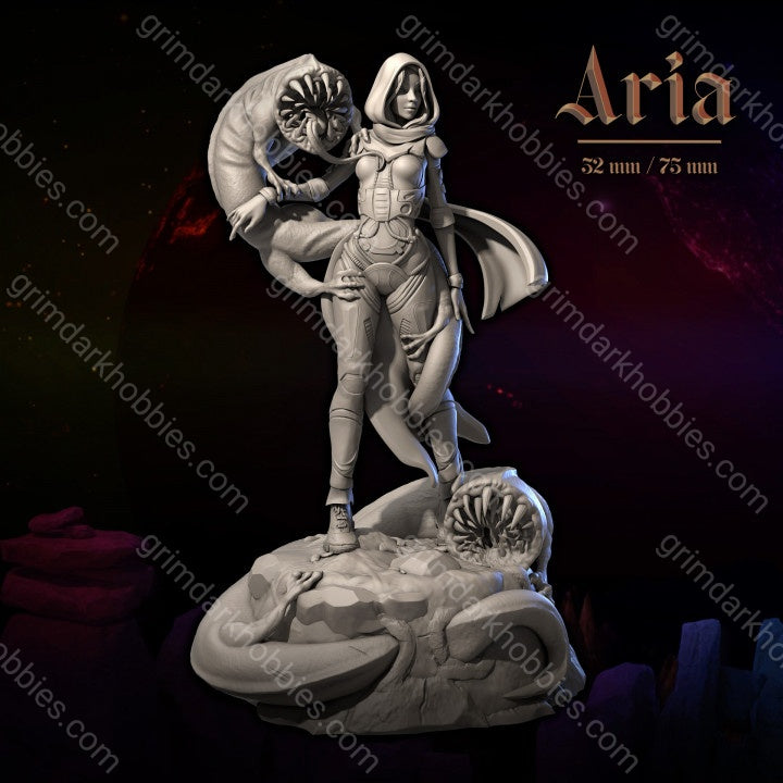 Dungeons & Maidens Aria 32/75mm 3D Resin Miniature