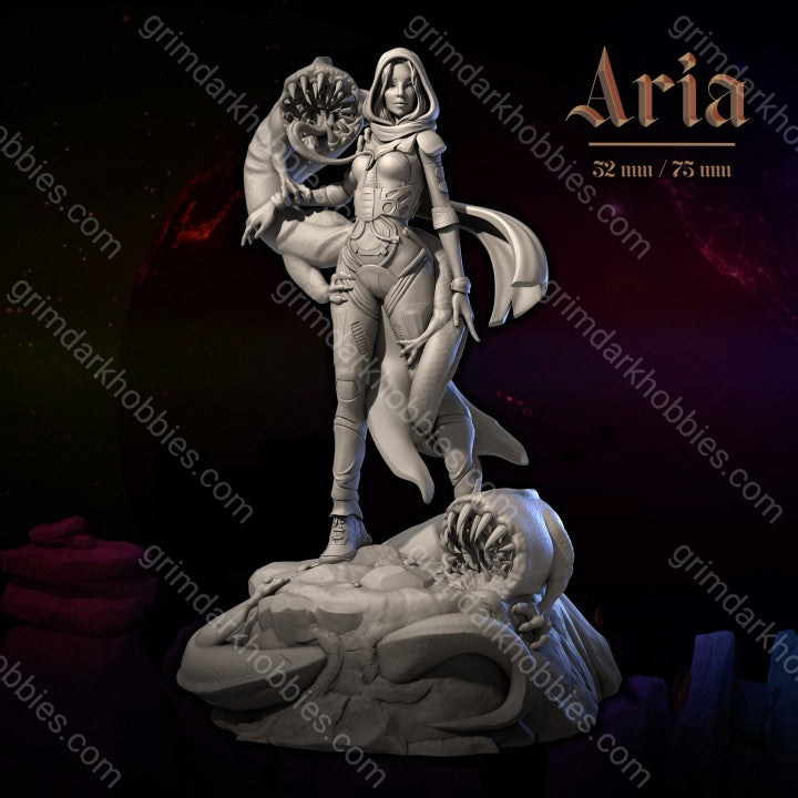 Dungeons & Maidens Aria 32/75mm 3D Resin Miniature