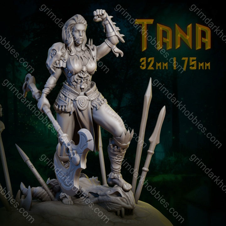 Dungeons & Maidens Tana 32/75mm 3D Resin Miniature