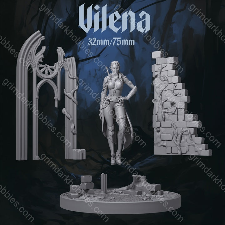 Dungeons & Maidens Vilena 32/75mm 3D Resin Miniature