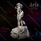 Dungeons & Maidens Aria 32/75mm 3D Resin Miniature