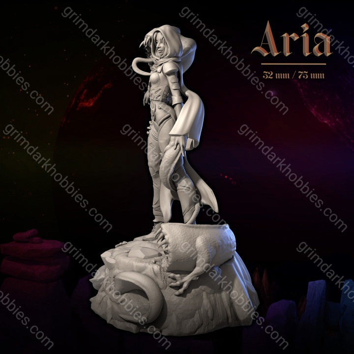 Dungeons & Maidens Aria 32/75mm 3D Resin Miniature