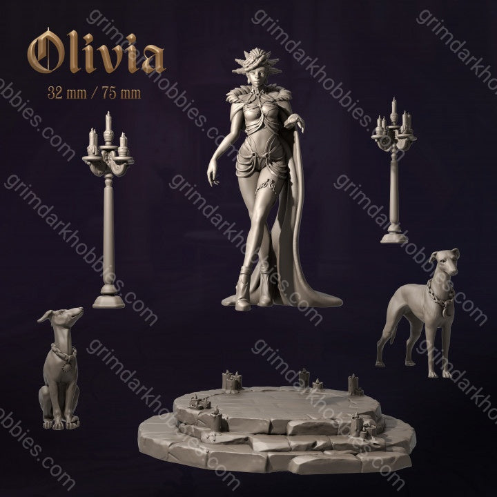 Dungeons & Maidens Olivia 32/75mm 3D Resin Miniature